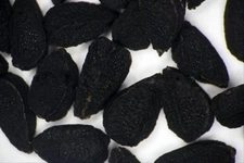 Çörek Otu Çiğnemek Çörekotu Çiğnemek Faydaları Nelerdir?